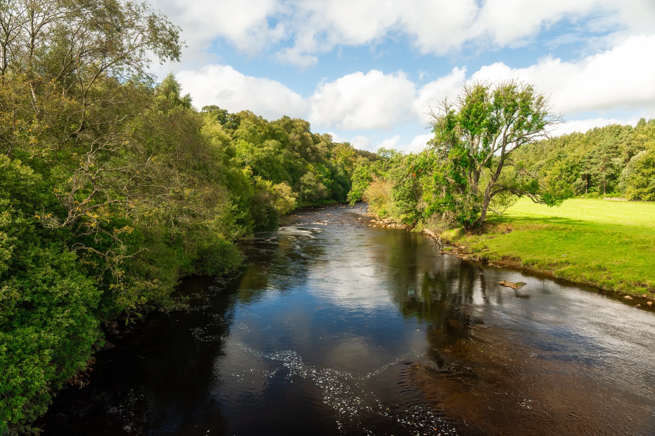 River flowing through lush green countryside on a summer day