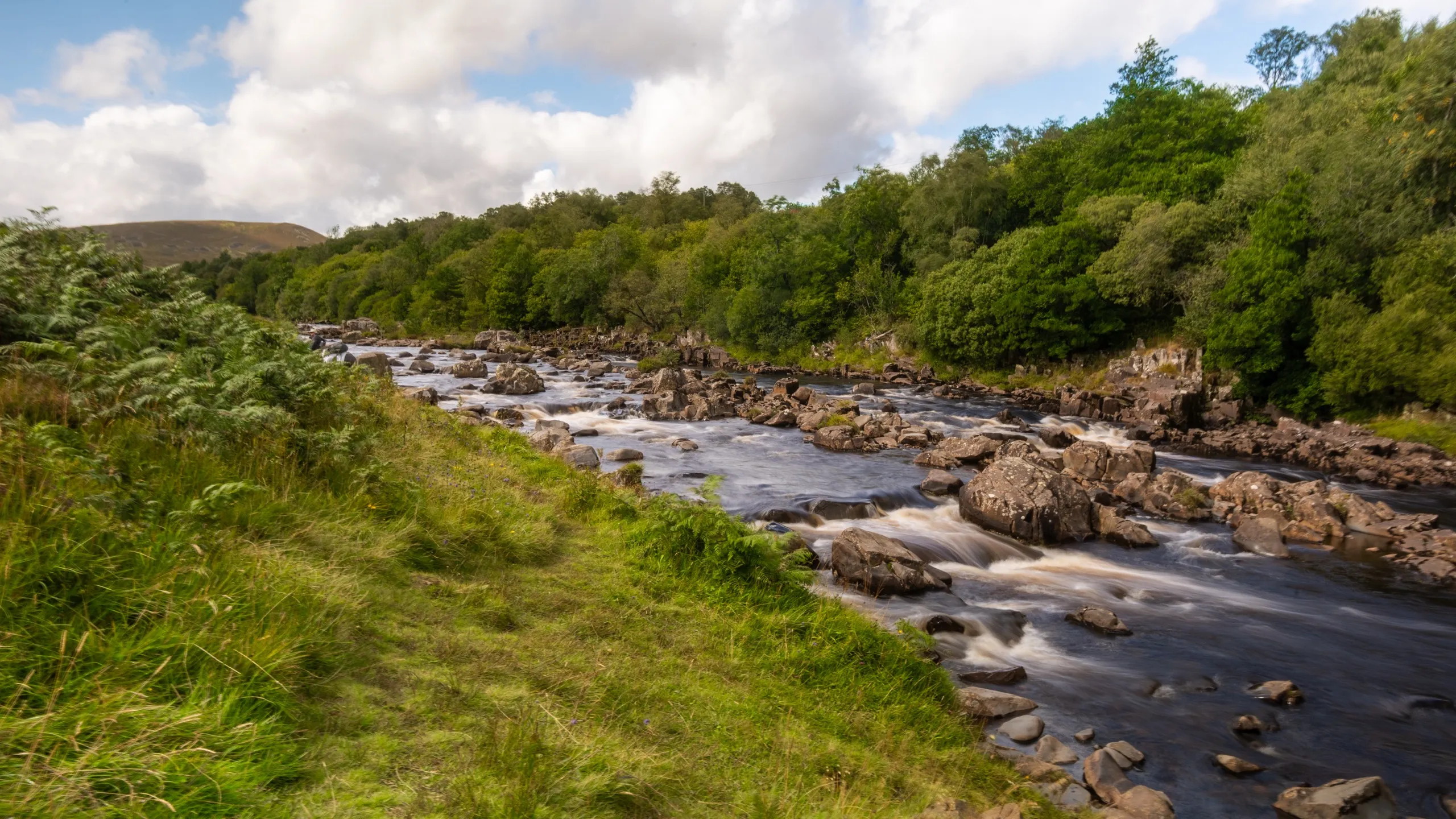 Rocky river with gentle rapids through wooded valley