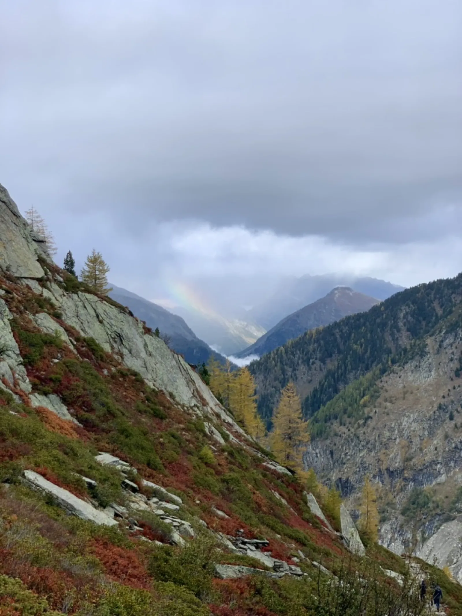 Alpine valley with autumn foliage and mountain peaks