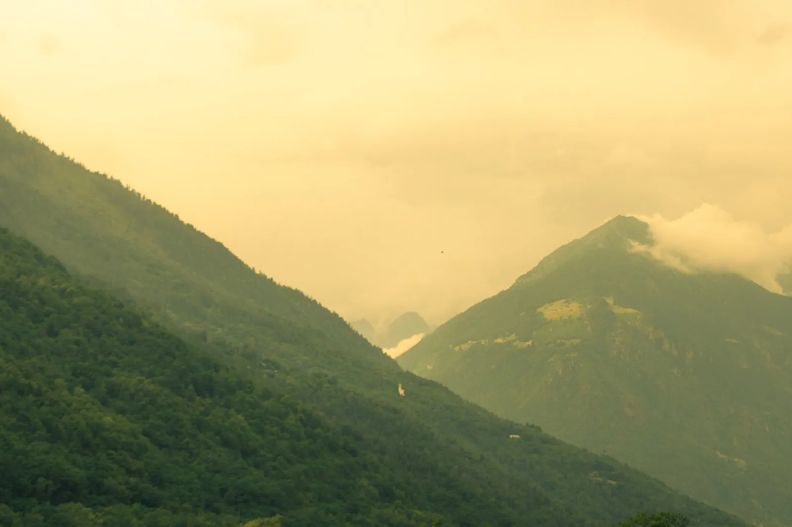 Lush green valley with mountains and scattered houses