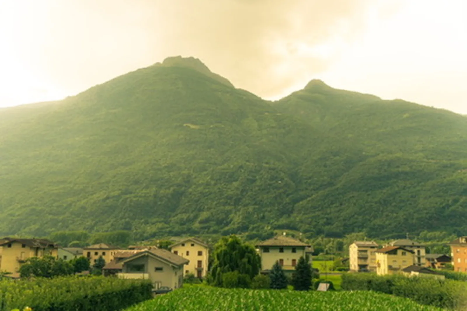 Two-peaked mountain with vineyard valley and buildings