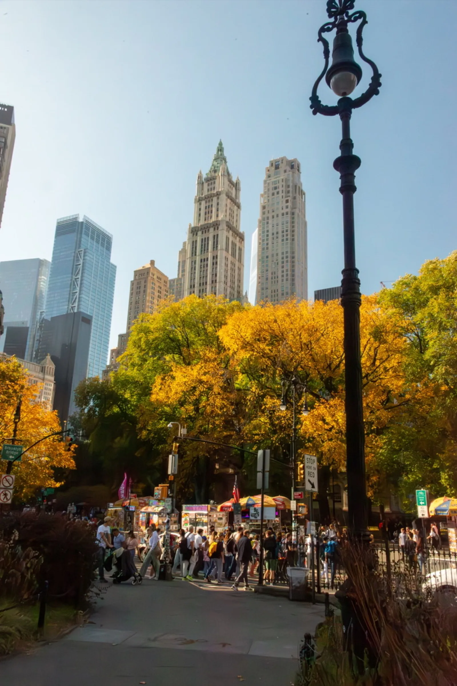 Park with fall trees and city buildings backdrop