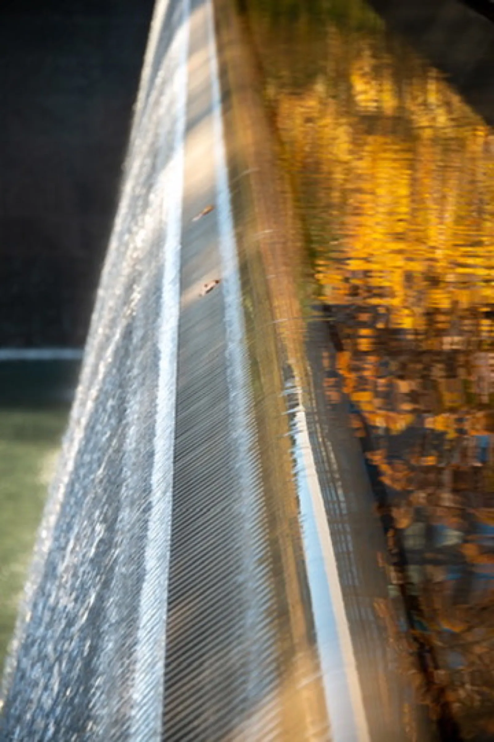 Concrete bridge railing reflecting golden autumn colours