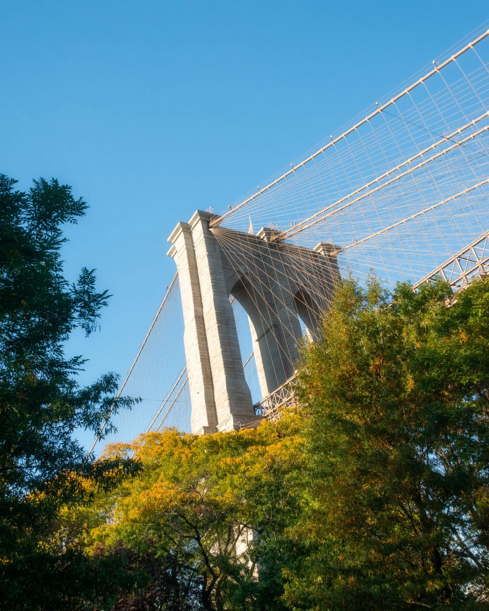 Bridge tower framed by golden autumn trees