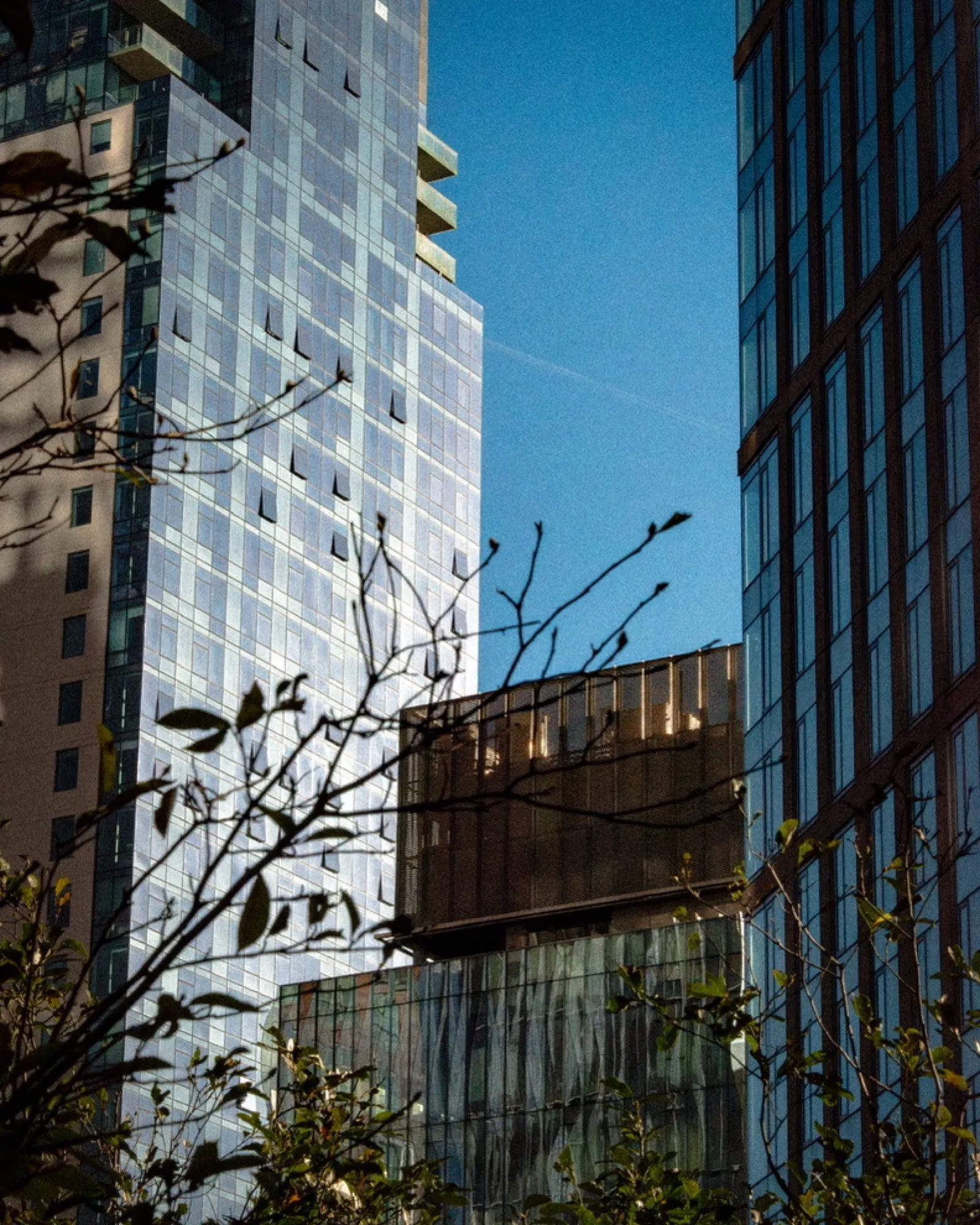 Urban buildings and rooftops from elevated perspective