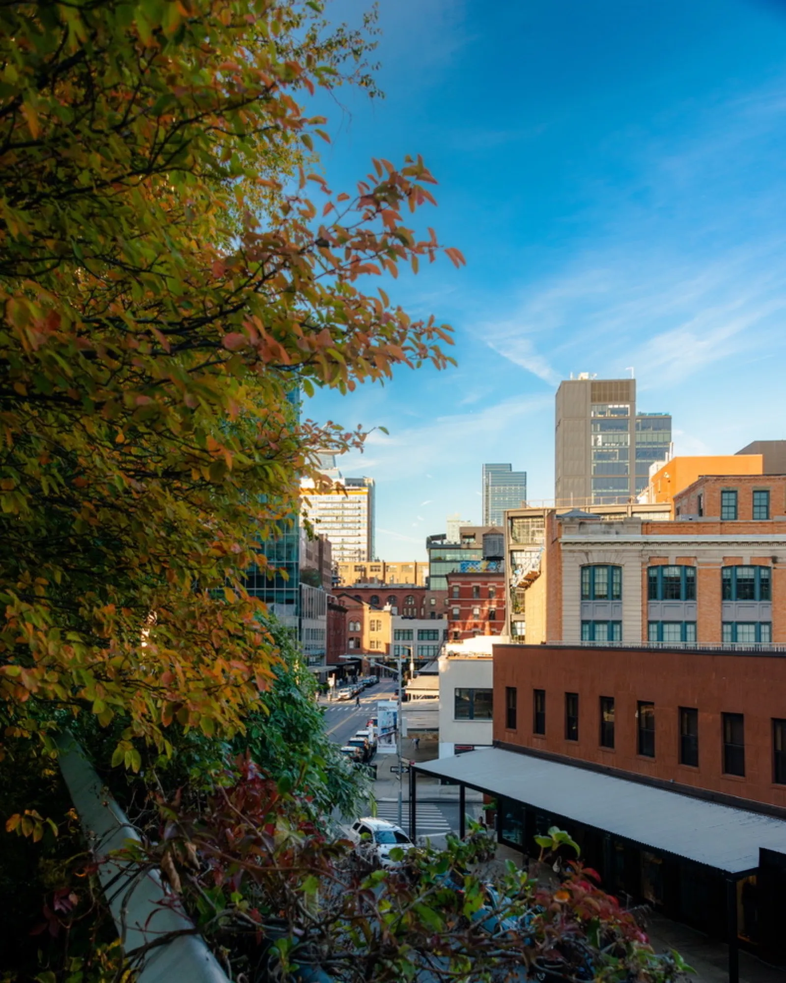 Skyline with classic buildings mirrored in still water