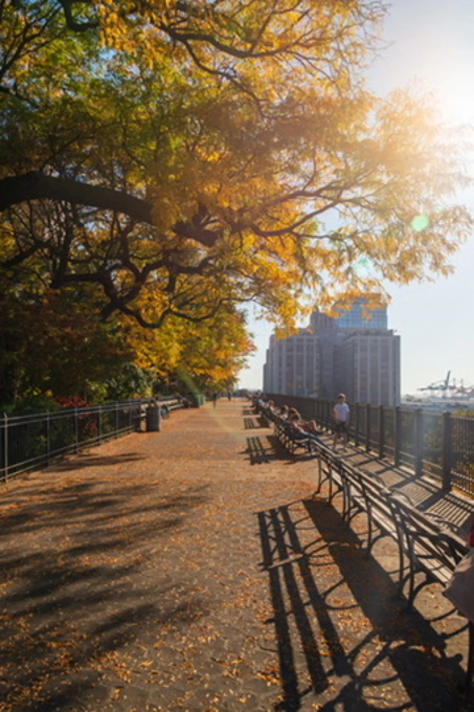 City lights along horizon at dusk