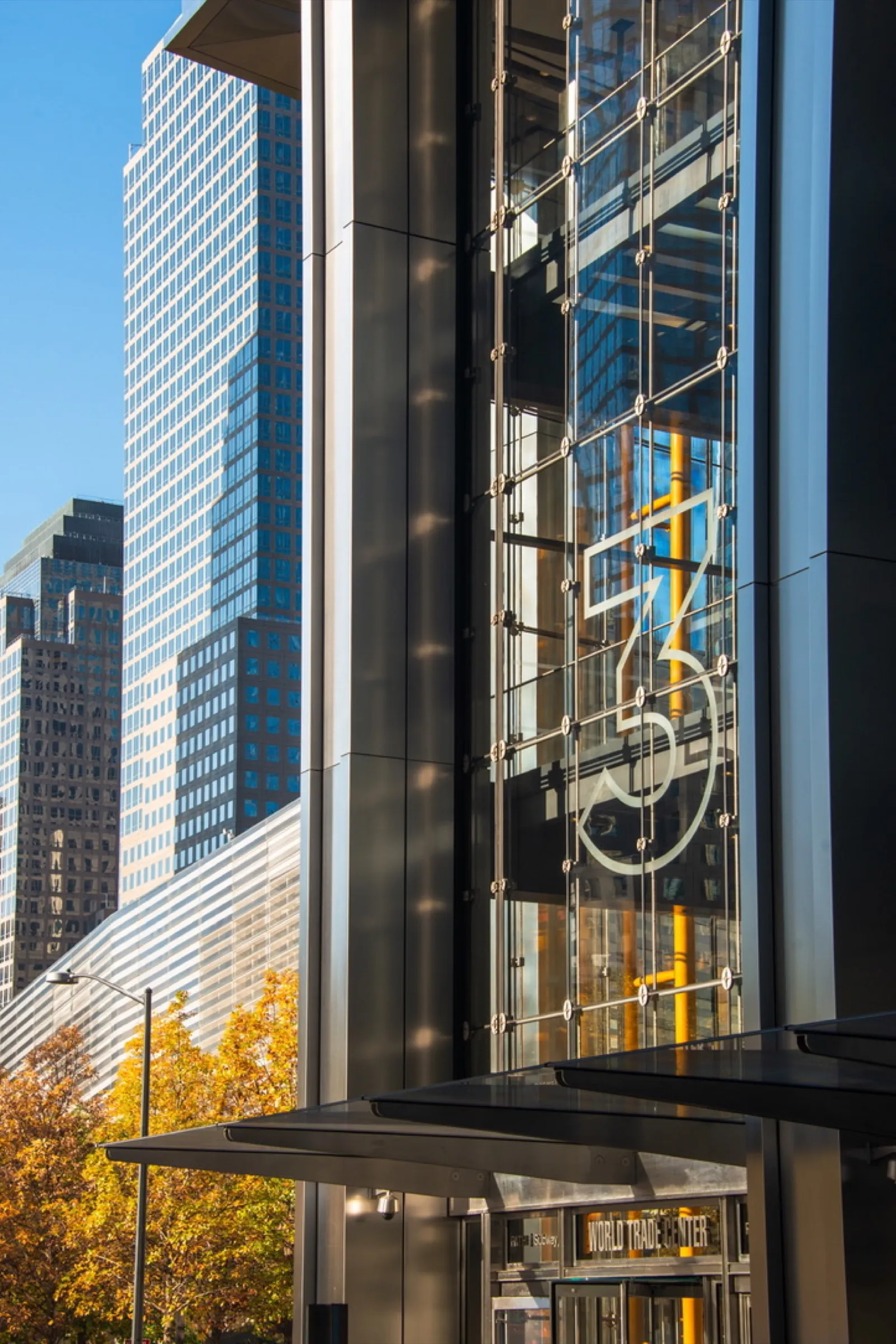 Park bench under golden tree with distant city views