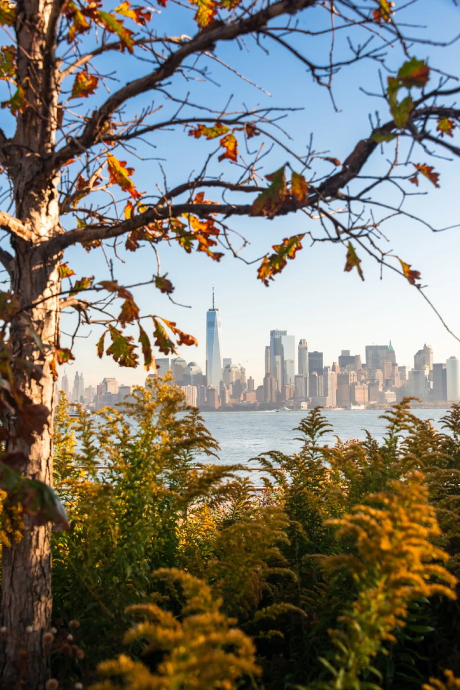 Modern glass building facade with yellow sculptural art